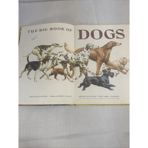Vintage The Big Book Of Dogs 1952 HC By Felix Sutton Antique HTF Children’s Kids - Picture 13 of 16